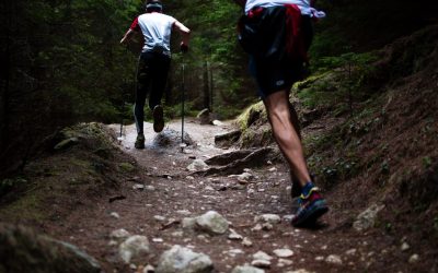 Apuntes de Experiencia: ese elemento fundamental del marketing llamado cliente