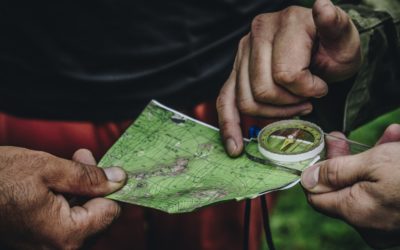 Pautas para guiar el sentimiento de lealtad