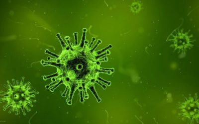 A por los primeros brotes verdes tras el coronavirus