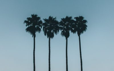 Cuatro claves para la verdadera omnicanalidad