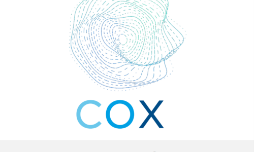 COX, la solución probada de inteligencia artificial para evitar la fuga de clientes y mejorar la fidelización
