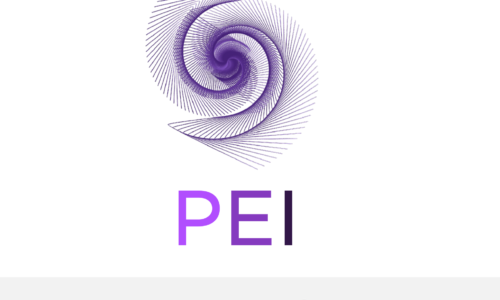 PEI el algoritmo de IA, que predice la propensión de cada Cliente a pagar sus deudas a término