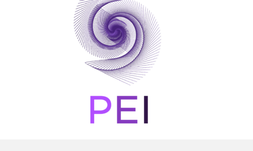 PEI el algoritmo de IA, que predice la propensión de cada Cliente a pagar sus deudas a término